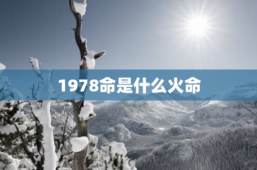 1978命是什么火命