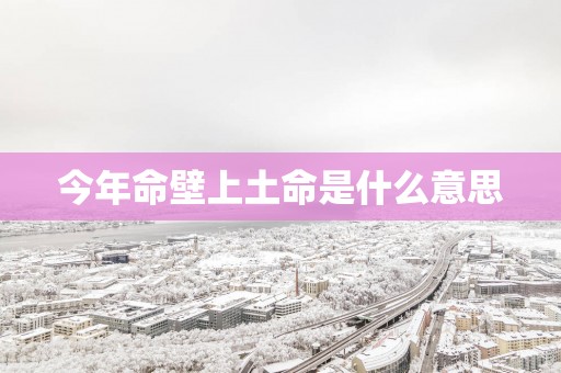 今年命壁上土命是什么意思
