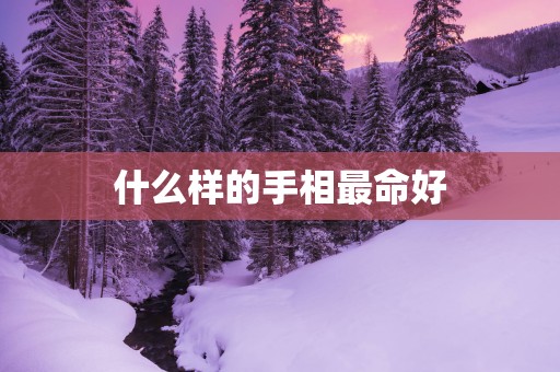 什么样的手相最命好