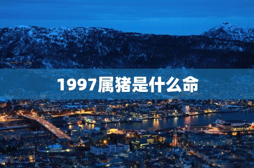 1997属猪是什么命