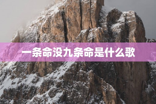 一条命没九条命是什么歌