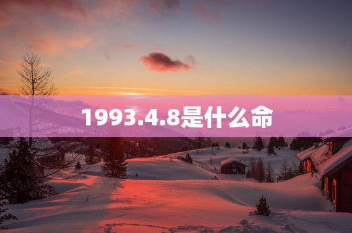 1993.4.8是什么命