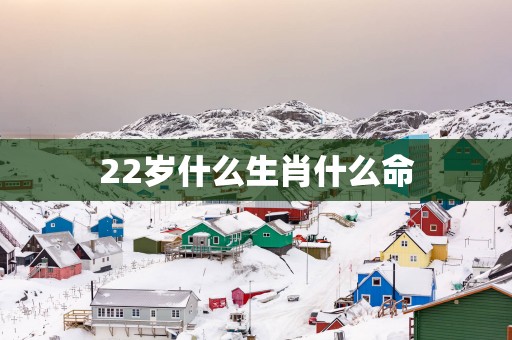 22岁什么生肖什么命