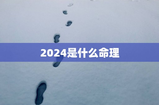 2025是什么命理