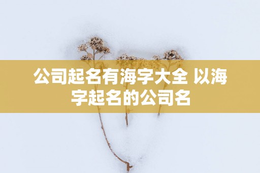 公司起名有海字大全 以海字起名的公司名