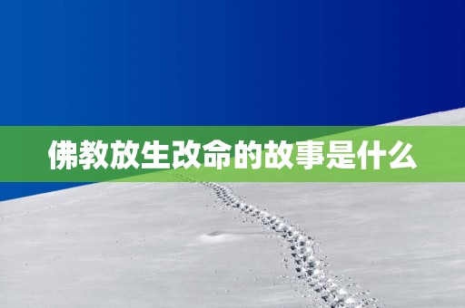 佛教放生改命的故事是什么