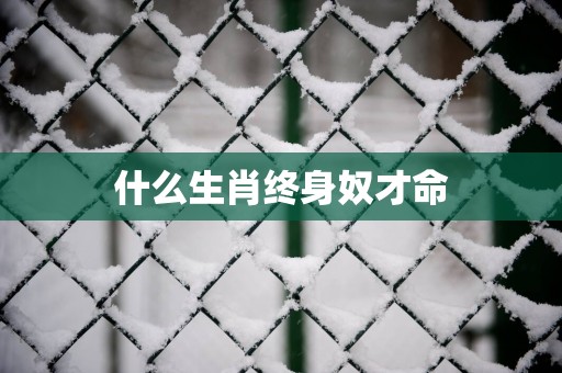 什么生肖终身奴才命