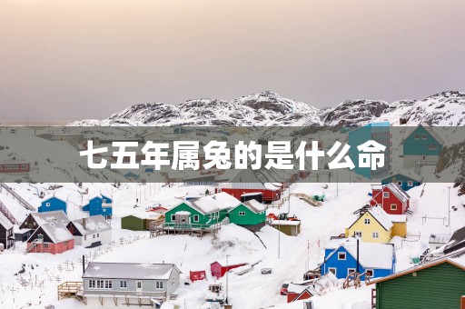 七五年属兔的是什么命