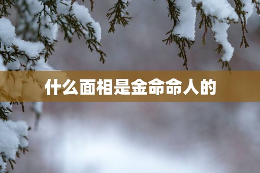 什么面相是金命命人的
