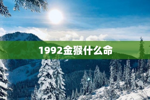 1992金猴什么命