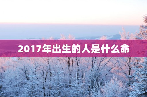 2017年出生的人是什么命