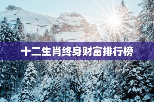 十二生肖终身财富排行榜