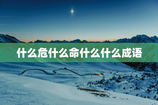 什么危什么命什么什么成语