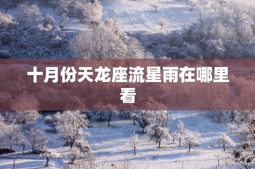 十月份天龙座流星雨在哪里看
