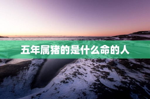 五年属猪的是什么命的人