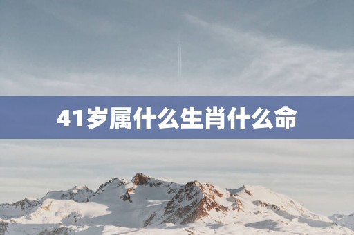 41岁属什么生肖什么命