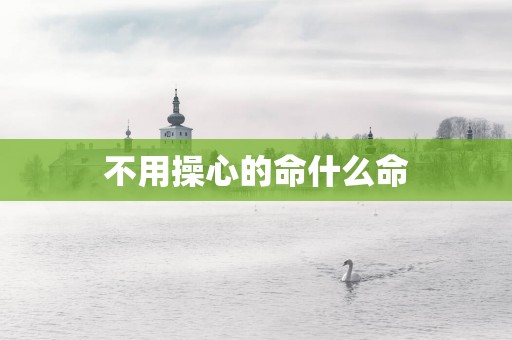 不用操心的命什么命