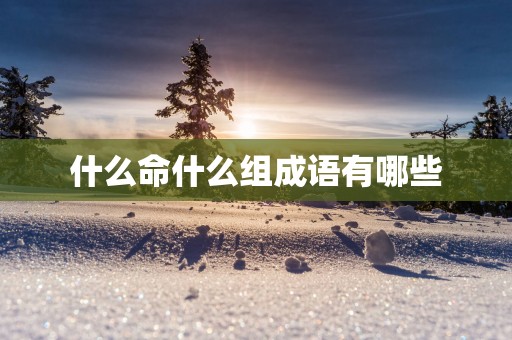 什么命什么组成语有哪些