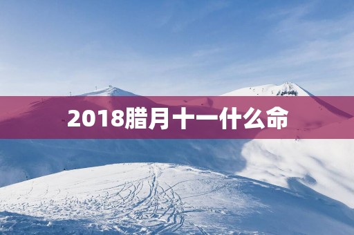 2018腊月十一什么命