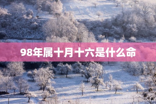 98年属十月十六是什么命