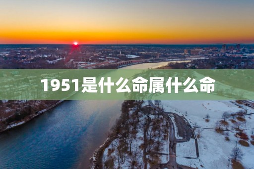 1951是什么命属什么命