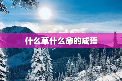 什么草什么命的成语