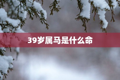 39岁属马是什么命
