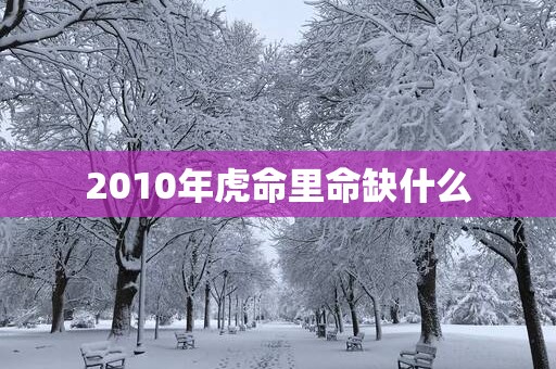 2010年虎命里命缺什么