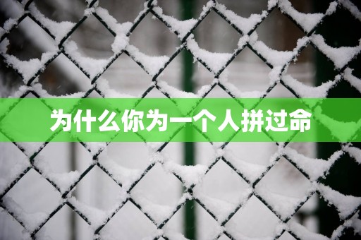为什么你为一个人拼过命