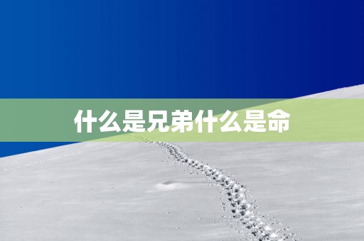 什么是兄弟什么是命