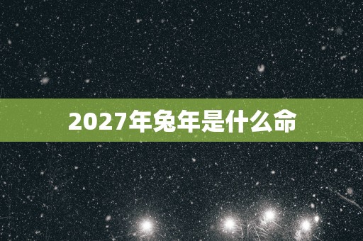 2027年蛇年是什么命
