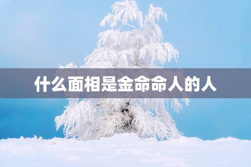 什么面相是金命命人的人
