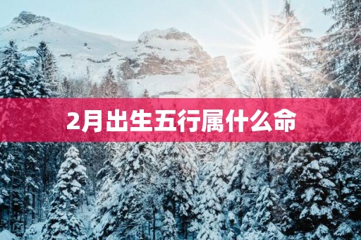 2月出生五行属什么命