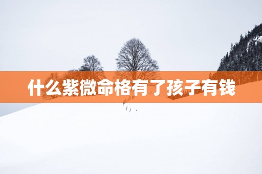 什么紫微命格有了孩子有钱