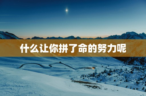 什么让你拼了命的努力呢