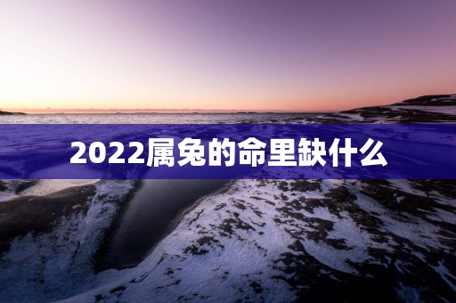 2025属兔的命里缺什么