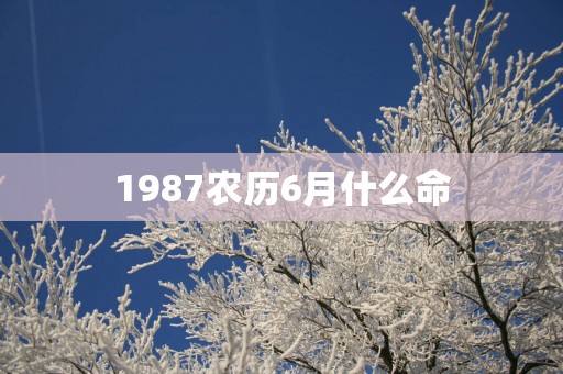 1987农历6月什么命
