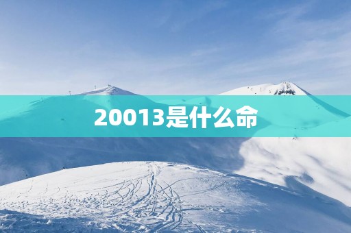 20013是什么命
