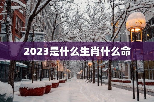 2025是什么生肖什么命