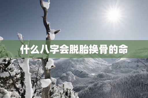 什么八字会脱胎换骨的命