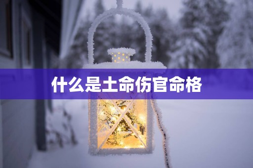 什么是土命伤官命格
