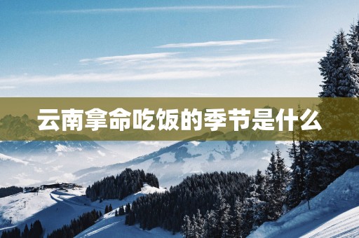 云南拿命吃饭的季节是什么