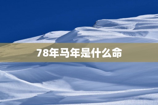 78年马年是什么命