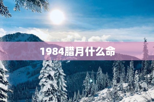 1984腊月什么命