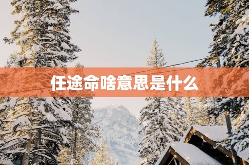 任途命啥意思是什么