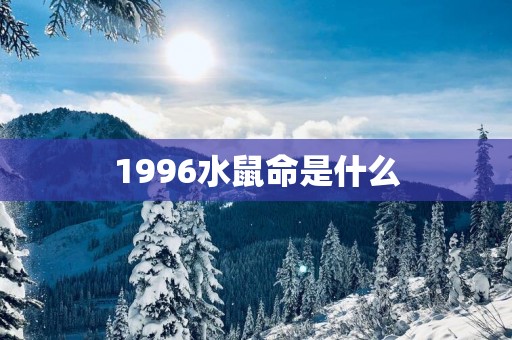 1996水鼠命是什么