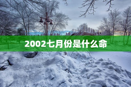 2002七月份是什么命