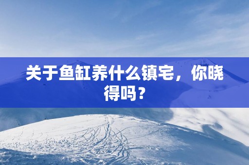 关于鱼缸养什么镇宅，你晓得吗？