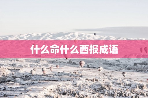 什么命什么西报成语