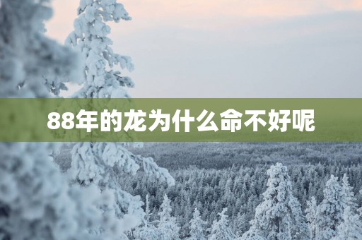 88年的龙为什么命不好呢